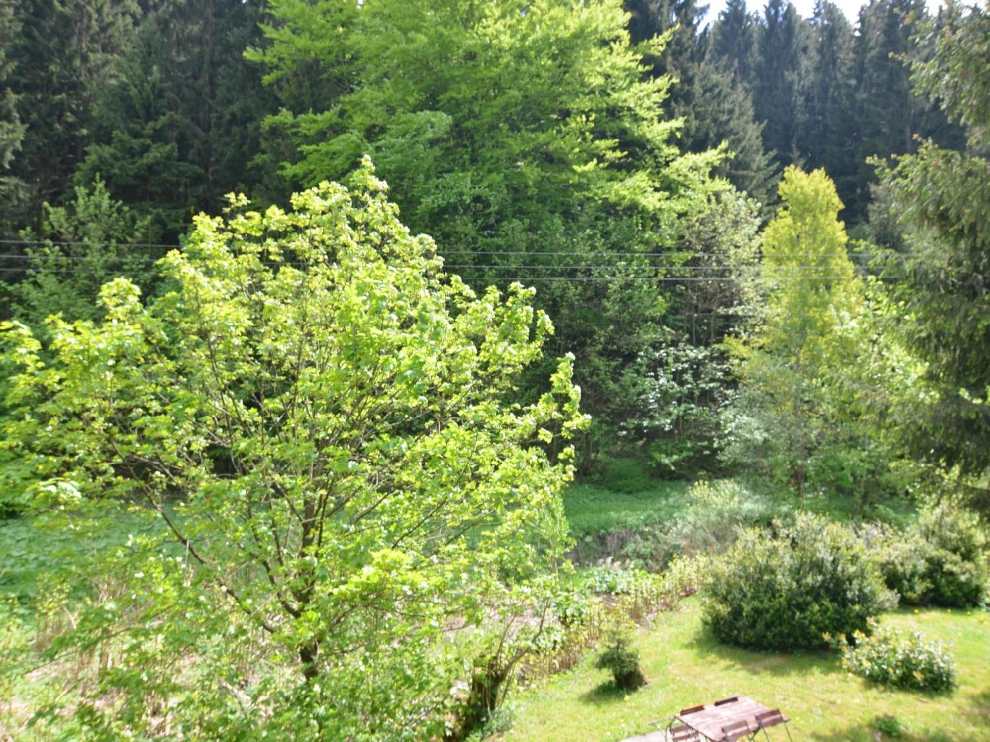 Apartment Thuringian Forest With Balcony Gießübel المظهر الخارجي الصورة